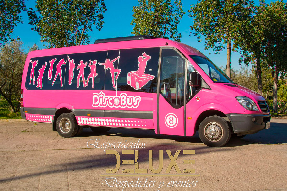 Discobus para comidas de navidad en Sevilla