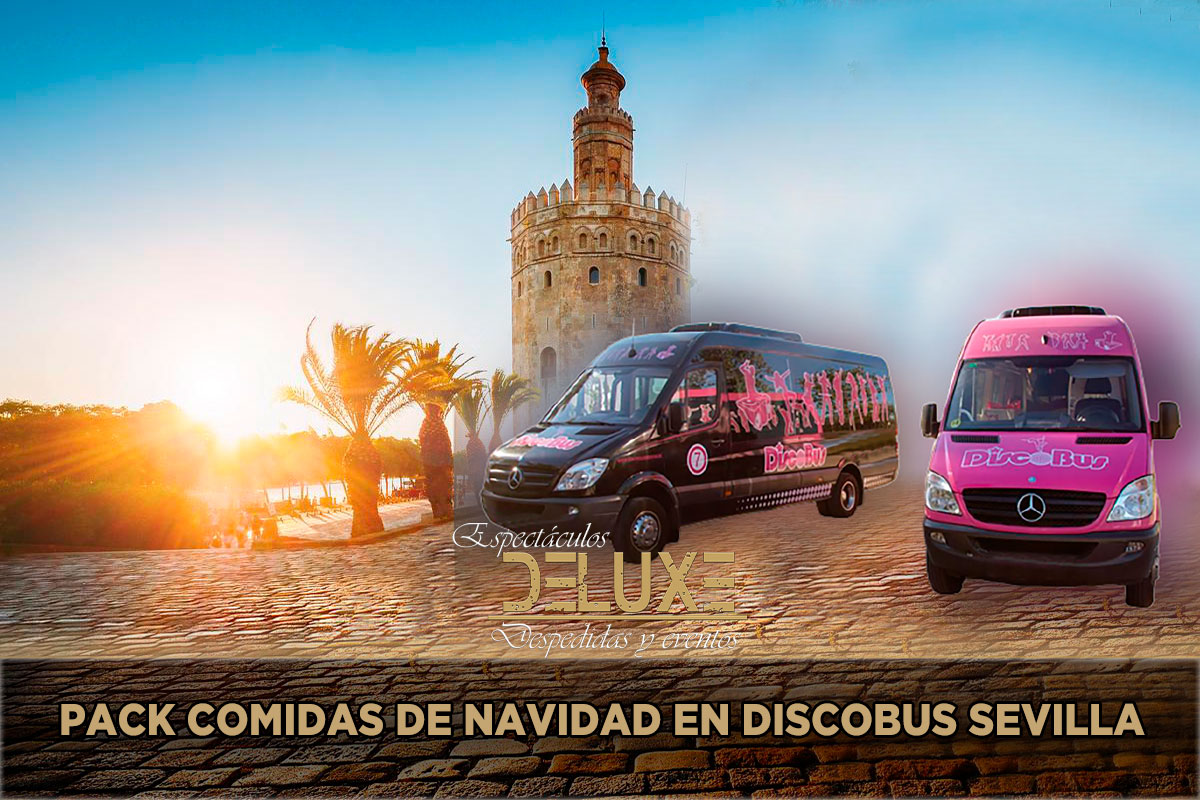 Pack comidas de navidad en discobus Sevilla